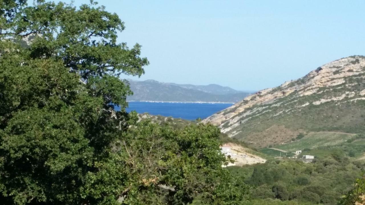 Ma Vie La Apartman Patrimonio Kültér fotó