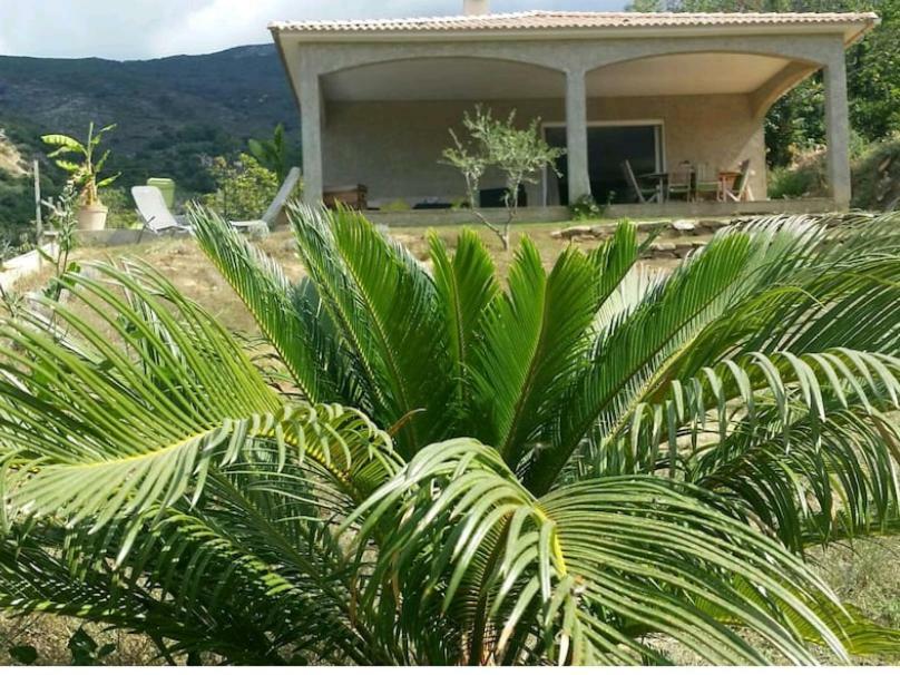 Ma Vie La Apartman Patrimonio Kültér fotó